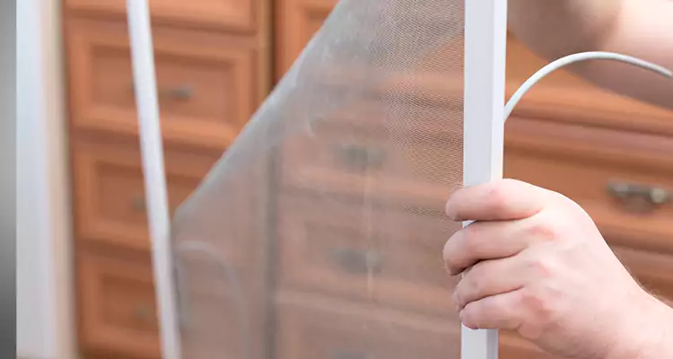 Privacy Mesh Screen Door Installation in Fort Pierce, FL